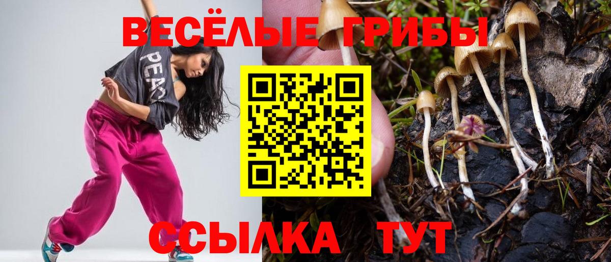 Псилоцибиновые грибы ЛСД Архангельск